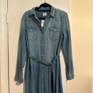 GAP Denim Dress NWT
